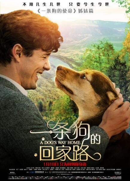 喜剧《一条狗的回家路》[720P][欧美最新狗狗冒险喜剧]