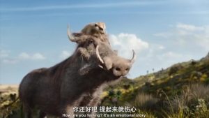 动作《狮子王真人版》[英语中英双字][迪士尼出品经典狮子王再现]