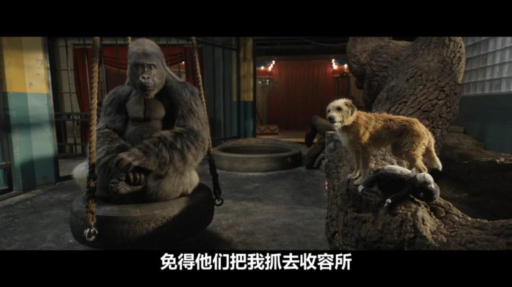 奇幻《独一无二的伊万》[最新大片！大猩猩历险记]