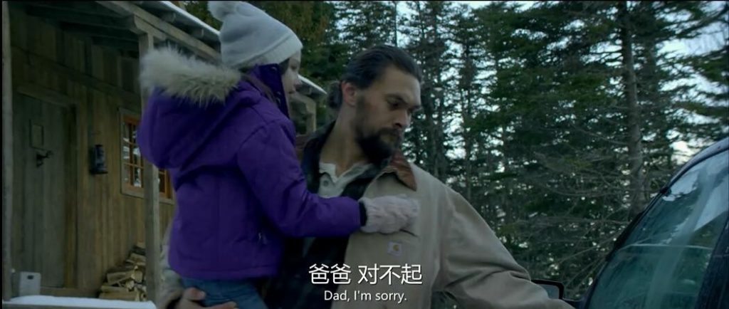 动作《雪光之灾/以勇气为名/极限救援》[海王主演动作犯罪电影]