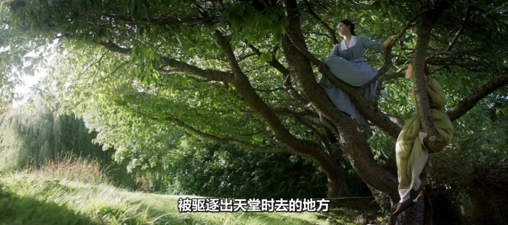 爱情《卡米拉》[720P][唯美忧伤女拉拉新片！秀色可餐]