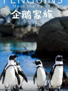 2020英国纪录片《企鹅家族》HD1080p.国英双语.中英双字