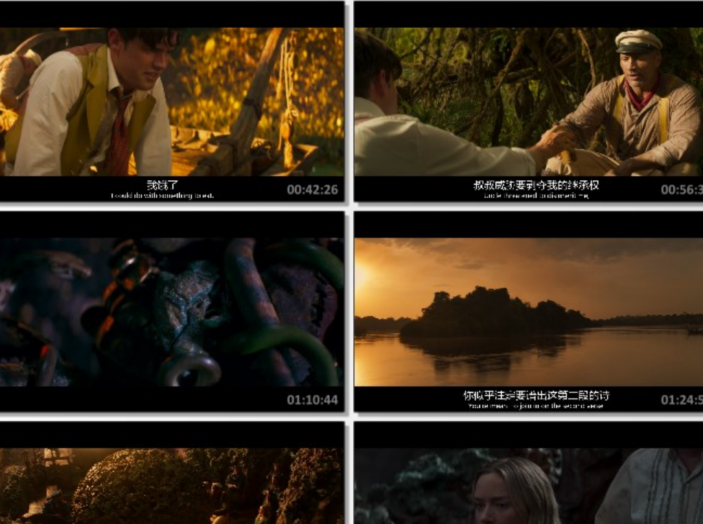 2021动作喜剧《丛林奇航》4K.BD中英双字
