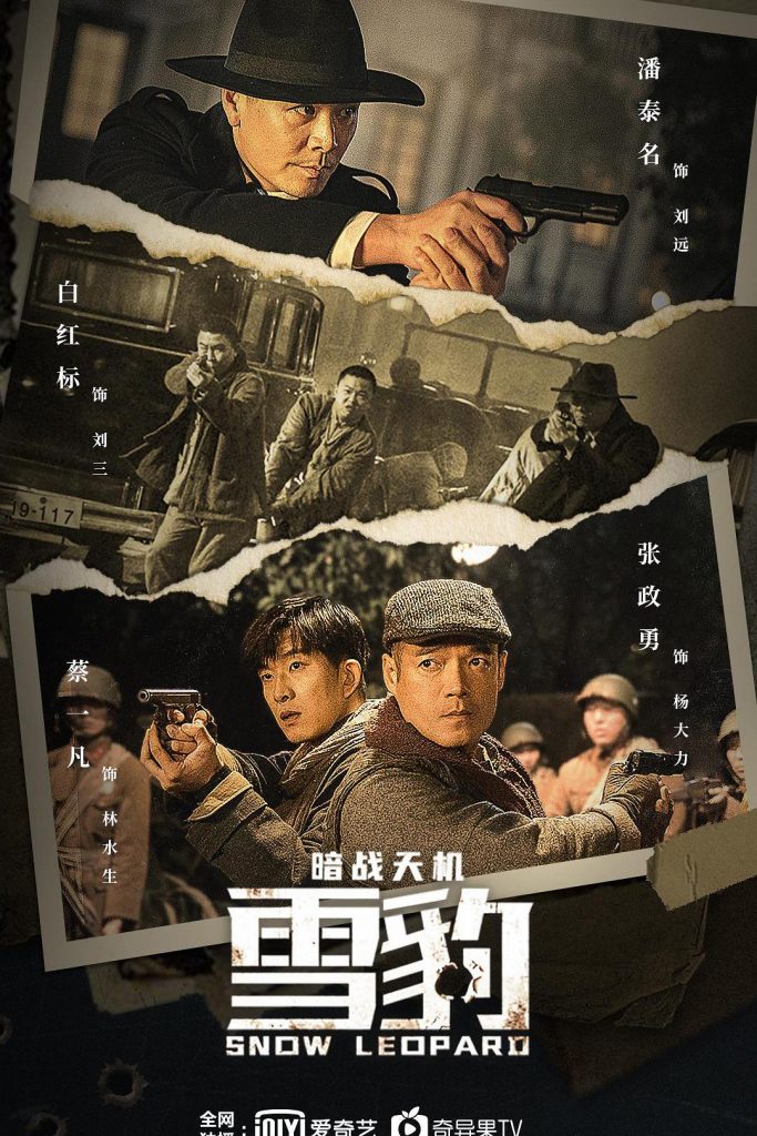 动作《雪豹之暗战天机》[国语配音/中文字幕][4K-2160P][H265编码][快点上映特别期待,大陆,雪豹暗战天机,