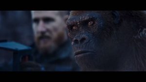 网盘下载《猩球崛起3：终极之战》[英语/中英特效双字][1080P][三部曲收官之战]