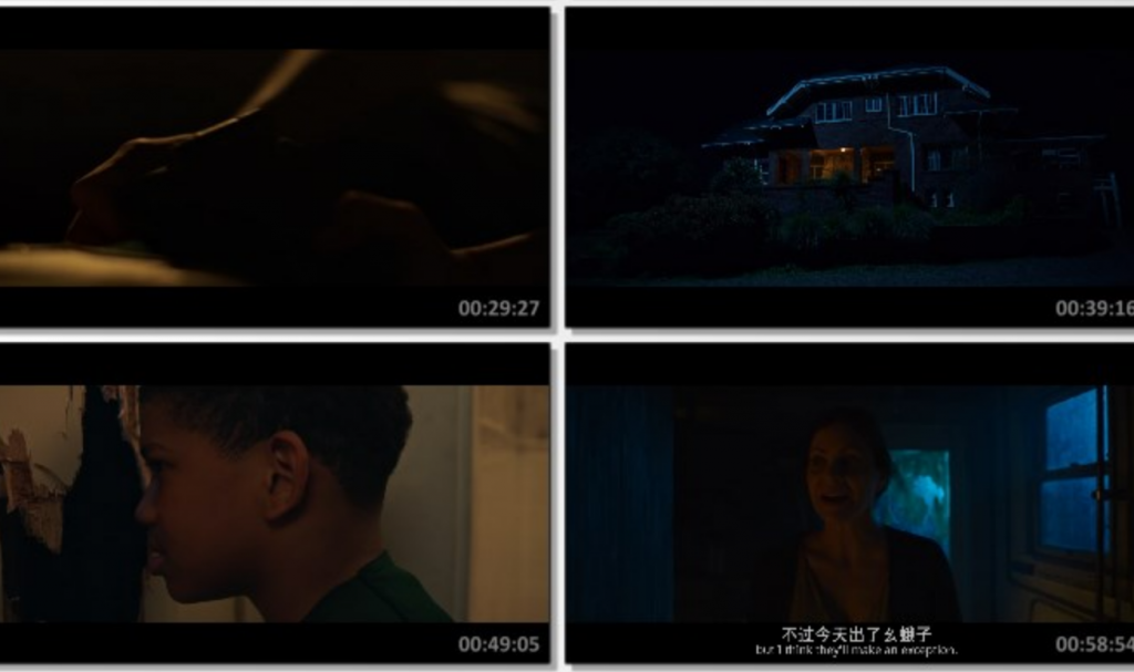2021惊悚剧情《门后的男孩》1080p.BD中英双字