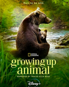 2021纪录片《动物成长》1080p.HD中字