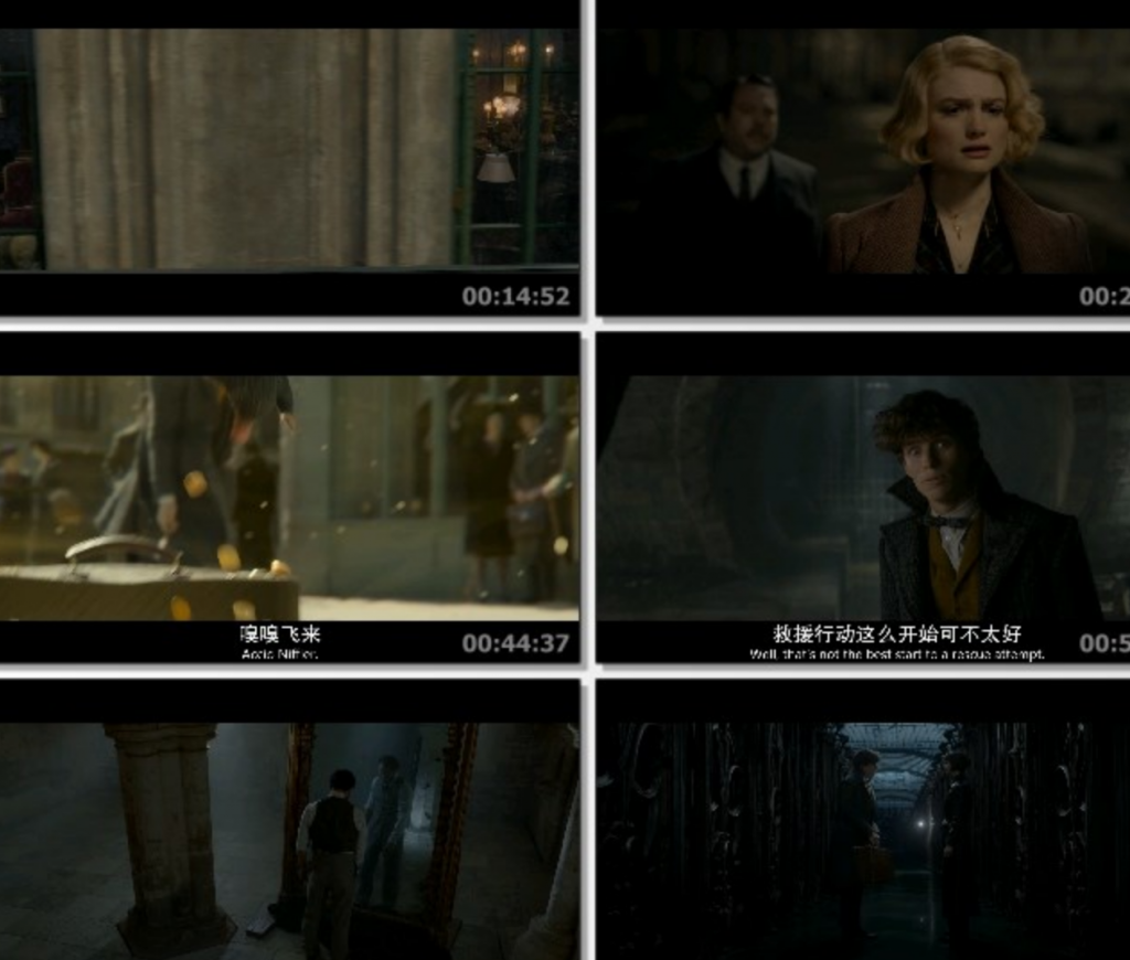 经典奇幻剧情《神奇动物:格林德沃之罪加长版》1080p.BD中英双字