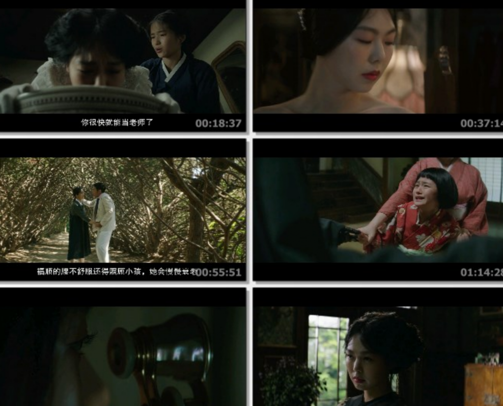 豆瓣8.0分《小姐/下女诱罪》[加长版]1080p.BD中字