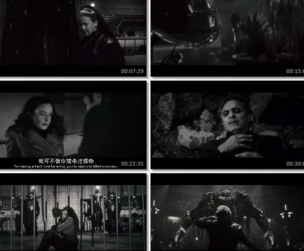 2022动作惊悚《暗夜狼人》1080p.BD中英双字