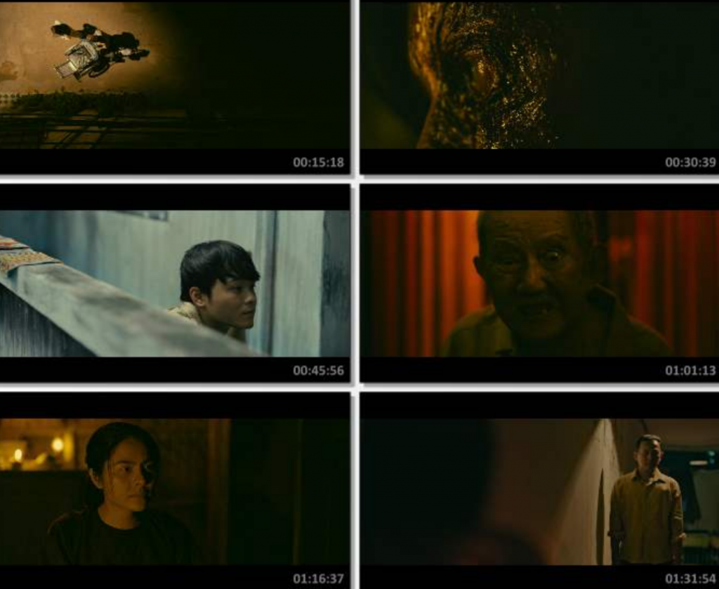 2022恐怖《越南恐怖故事》1080p.BD中字