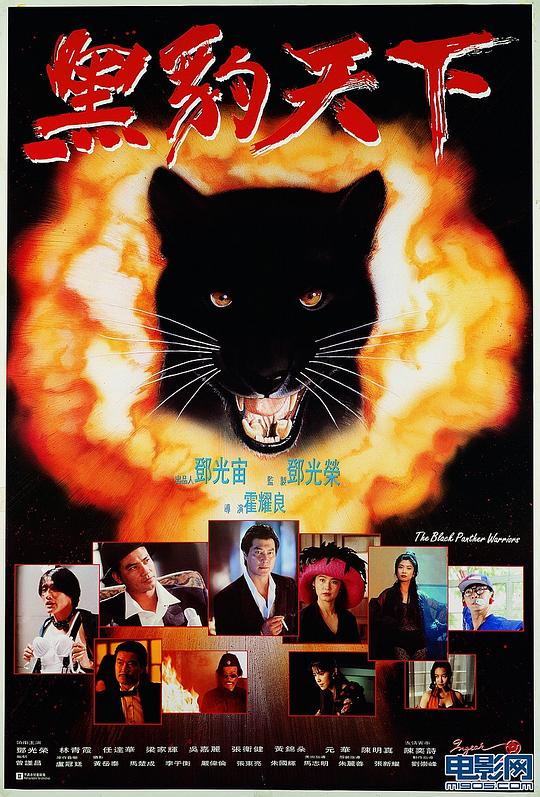 1993香港经典《黑豹天下》[WEB-MKV/3.40GB][中文字幕/国语音轨][1080P]
