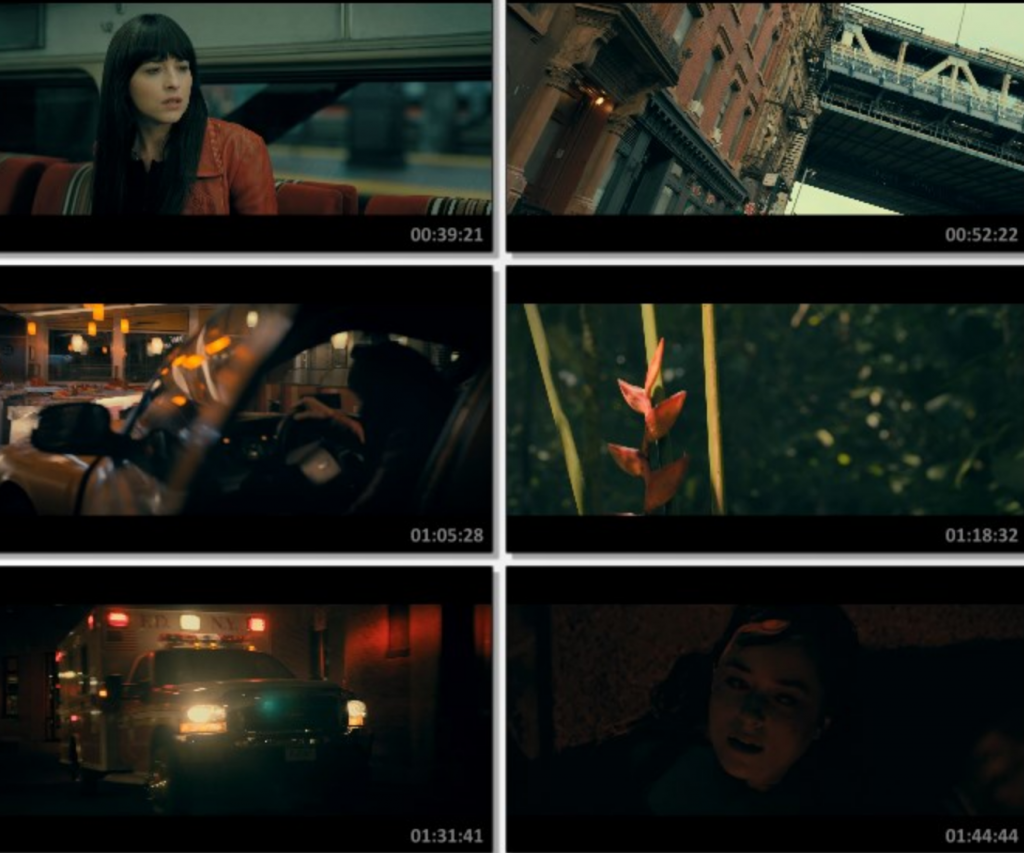 2024动作科幻《蜘蛛夫人:超感觉醒》1080p.HD中英双字