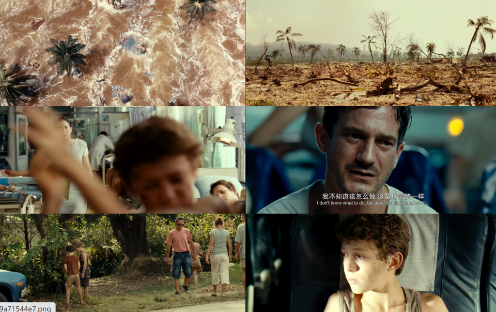 高分灾难片《海啸奇迹》[WEB-MKV/15.99GB][中文字幕][4K-2160P]