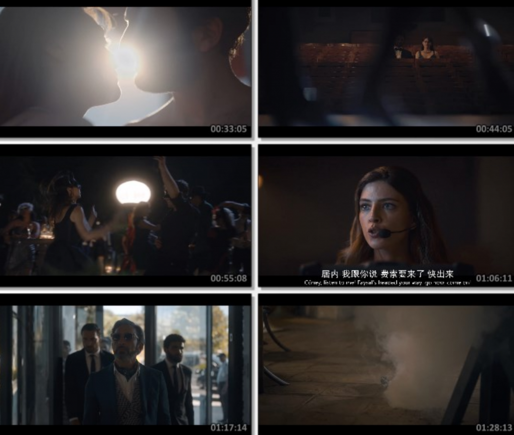 2024爱情剧情《偷心艺术》1080p.BD中英双字