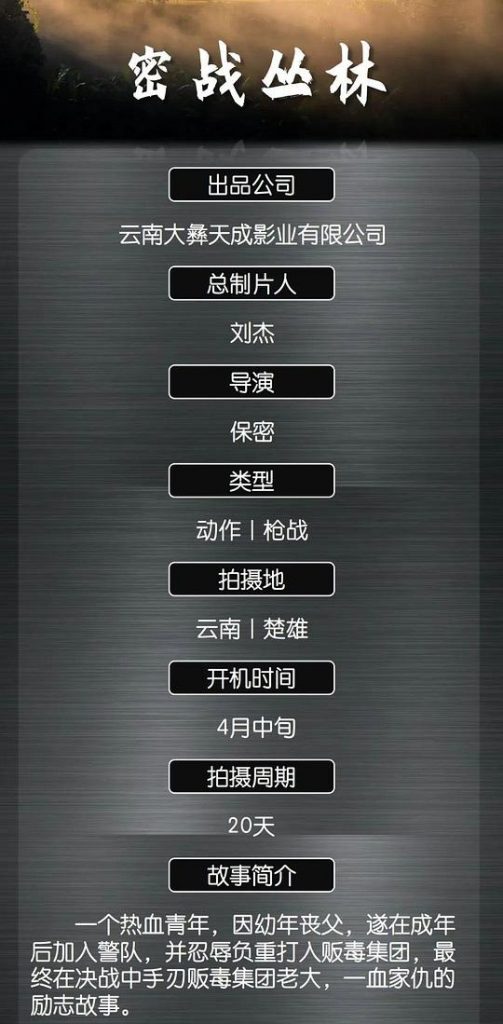 谢孟伟主演《密战丛林》[WEB-MKV/11.93GB][国语配音/中文字幕][4K-2160P][高码版]