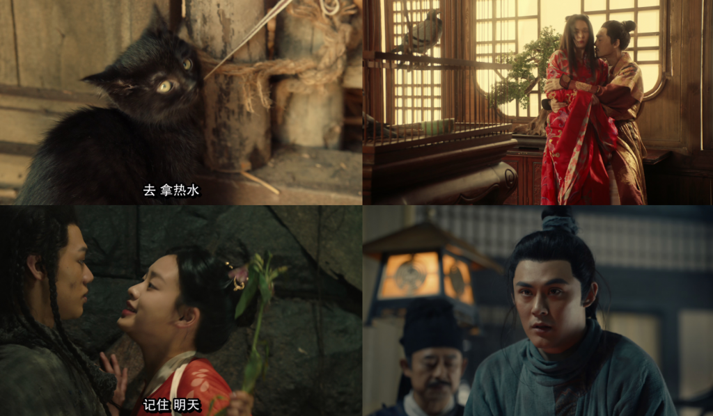 2024古装《猫妖奇谭》[WEB-MKV/3.25GB][国语配音/中文字幕][4K-2160P][60帧率]