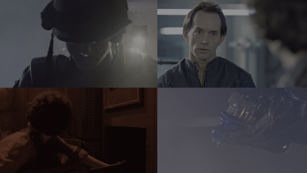 豆瓣8,1分《异形2》[共2部合集][BD-MKV/57.75GB][国英多音轨/中文字幕/特效字幕][4K-2160P]