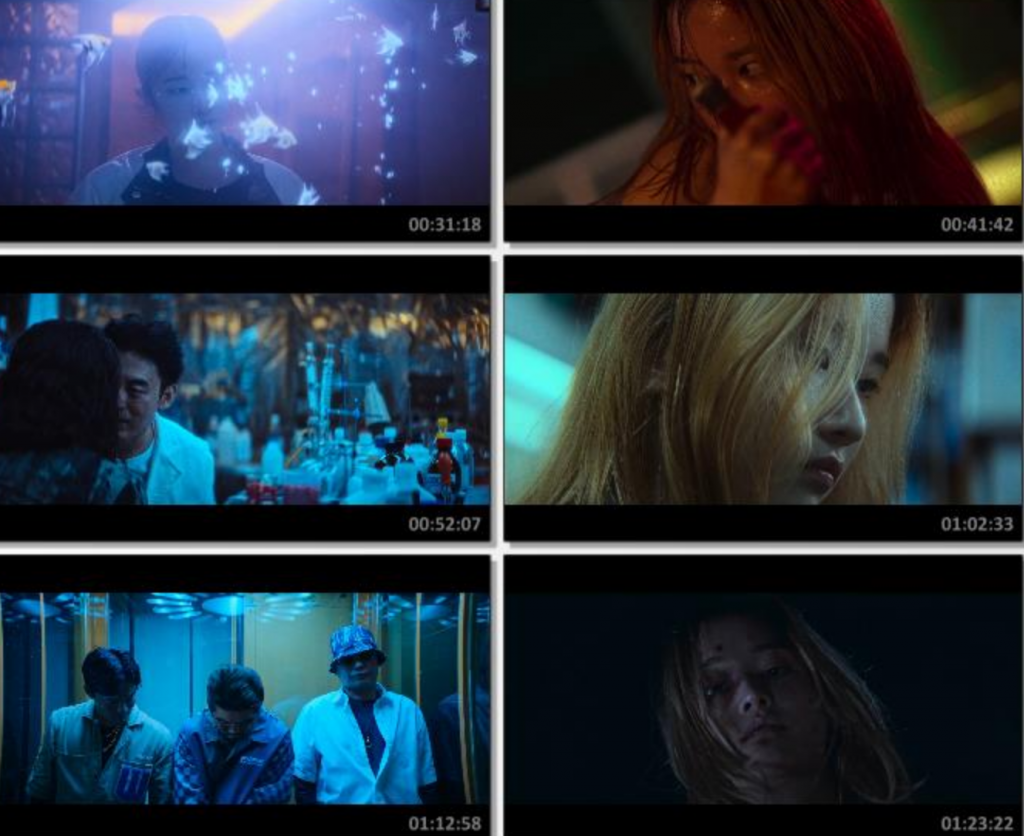 2023动作惊悚《芭蕾复仇曲》1080p.BD中字