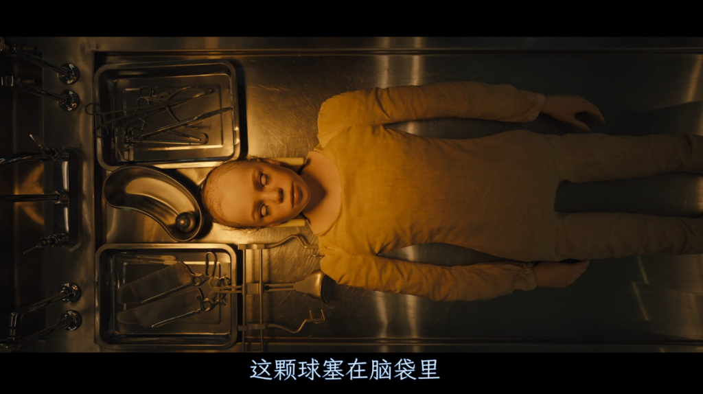 2024惊悚恐怖《长腿》[中字][1080P][美2024最新票房超刺激犯罪惊悚]