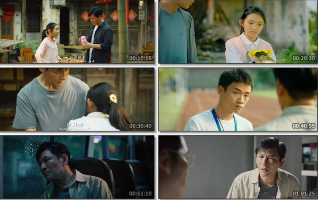 2024剧情《向阳花开》1080p.HD国语中字