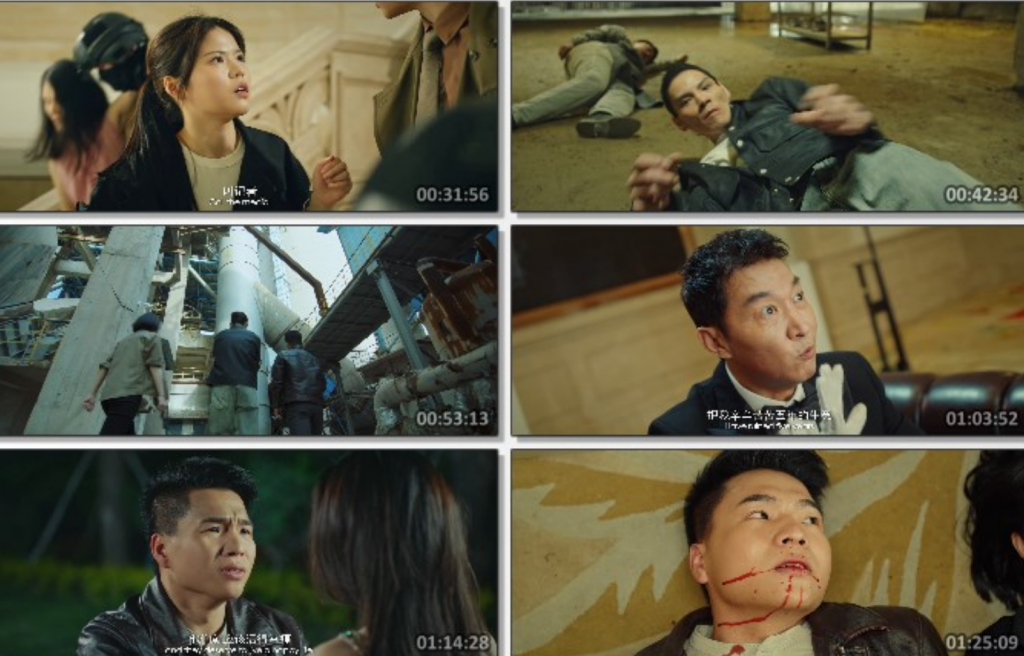 2025动作喜剧《护卫者3:决战》1080p.HD国语中字