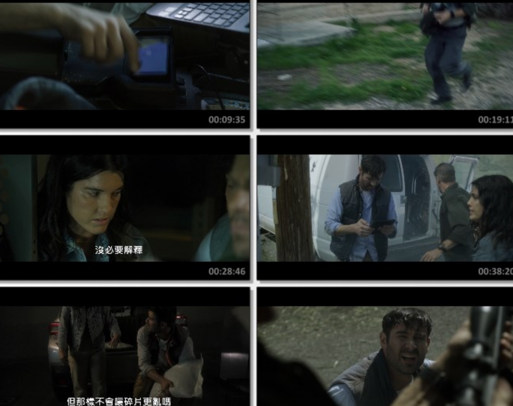 2024剧情《龙卷风末日》1080p.HD中字
