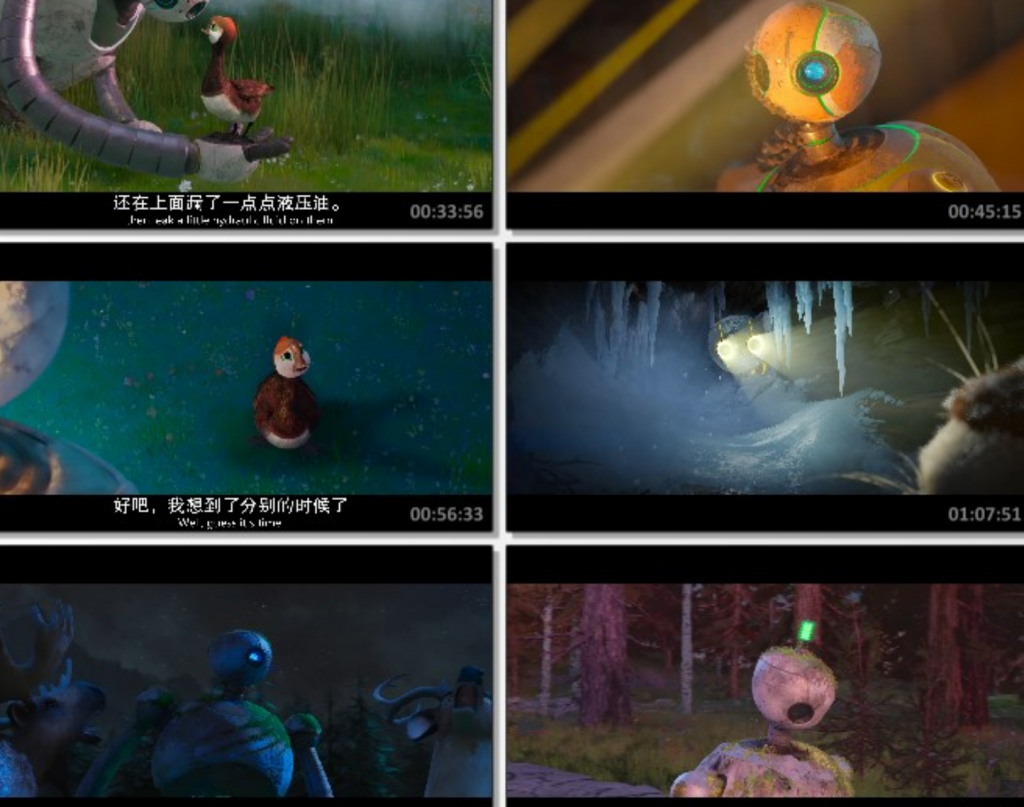 2024高分动画《荒野机器人》1080p.国英双语.BD中英双字