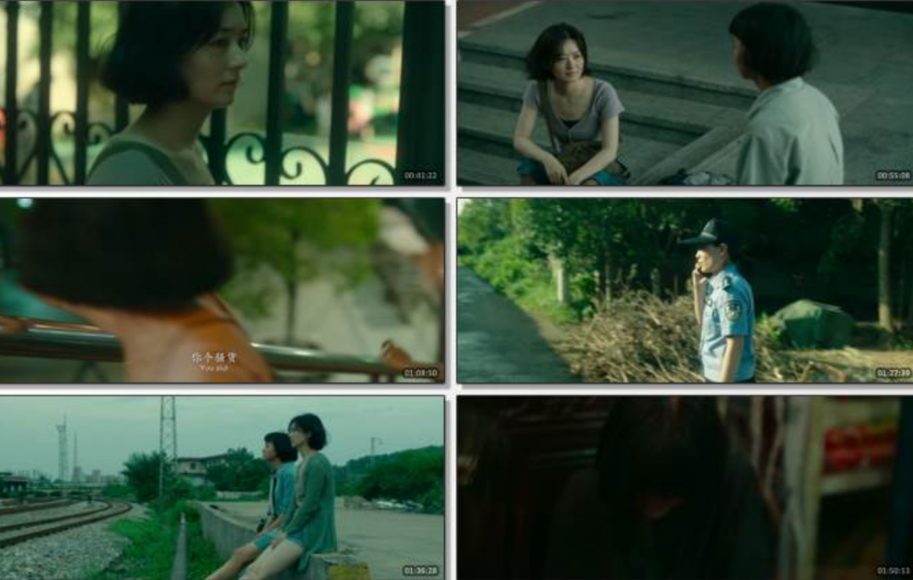 2025剧情《向阳·花》4K.HD国语中字