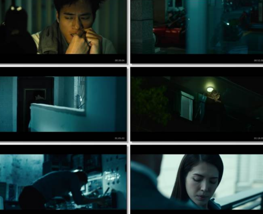 高分惊悚剧情《目击者之追凶》1080p.BD国语中字