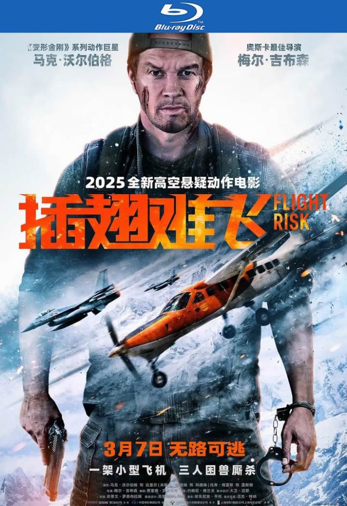 2025动作《插翅难飞》[BD-MKV/6G][英语中字][1080p]