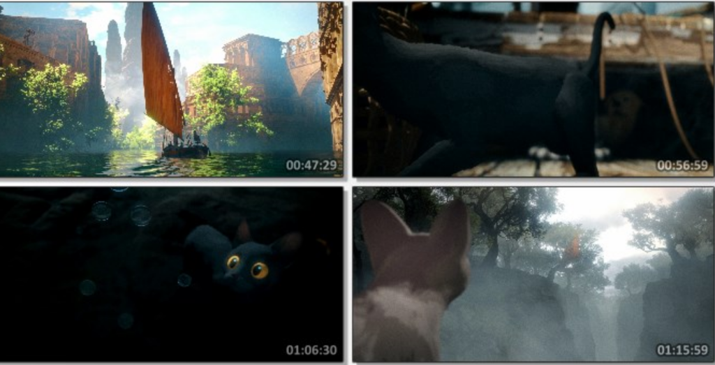 2024高分动画《猫猫的奇幻漂流》1080p.BD中字