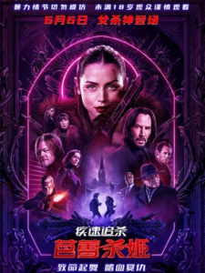 2025动作惊悚《疾速追杀：芭蕾杀姬》1080p.国英双语.BD中英双字