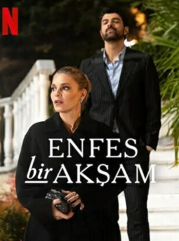 《权欲阶梯》全集