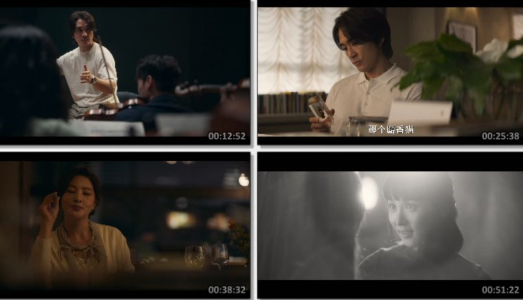 2024恐怖惊悚《隐藏的面孔》1080p.BD中字