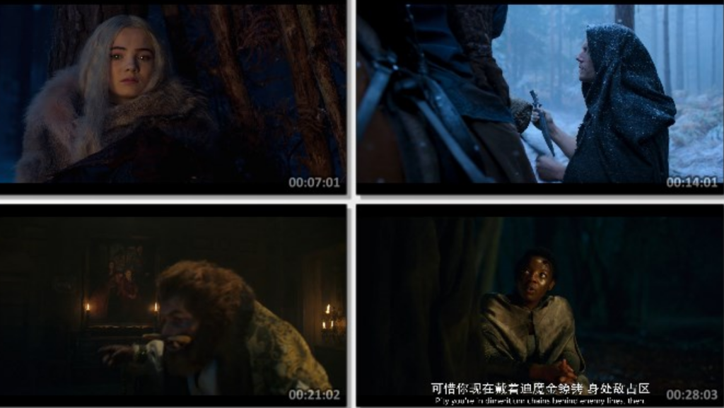 美剧《猎魔人》四季全