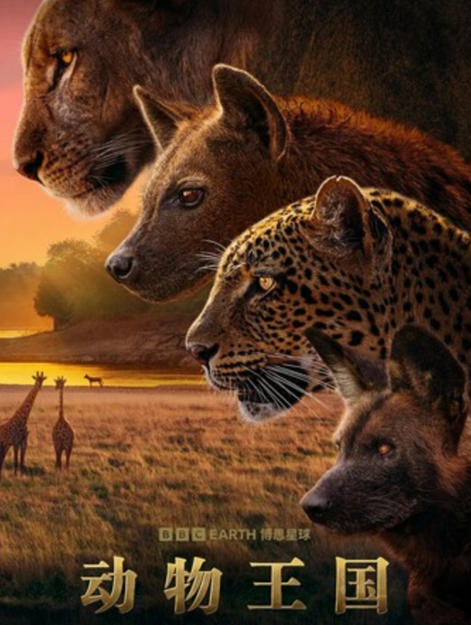2025纪录片《动物王国》1080p.HD中字