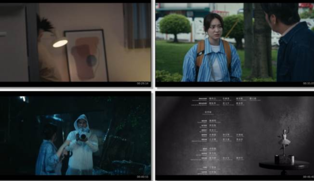 《如果我不曾见过太阳》全集