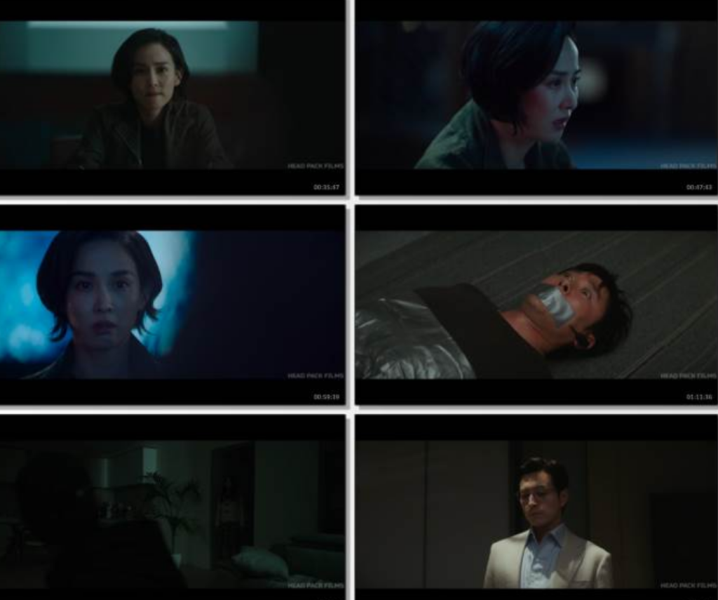 2025剧情《杀人者报告》1080p.HD中字