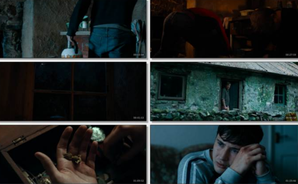 2025剧情《银莲花》1080p.HD中英双字