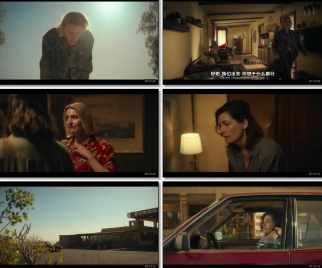 英剧《双雌大盗》全集